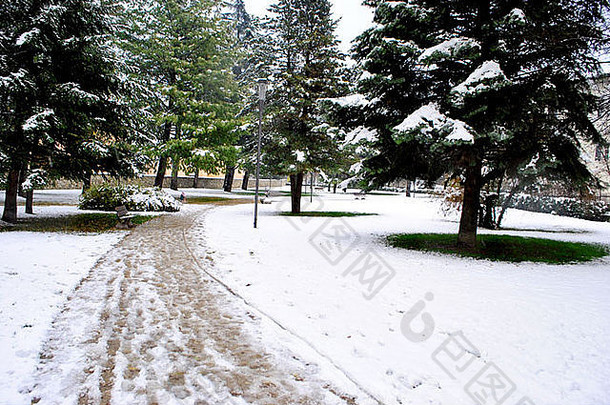 公共公园冬天雪