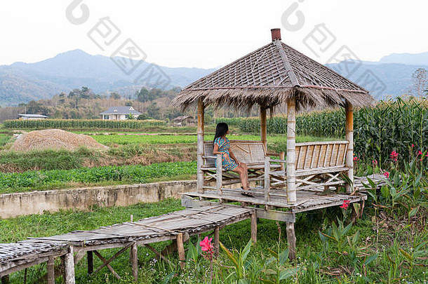 女人坐着木避难所和平风景泰国农村