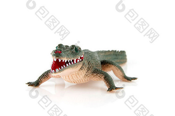 塑料鳄鱼玩具孤立的白色背景