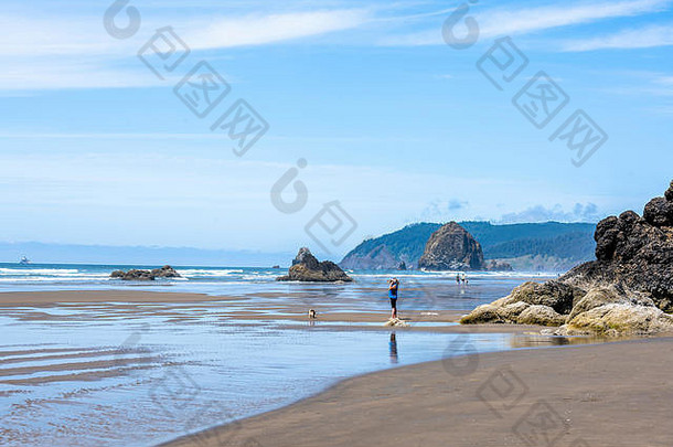女人狗人走水线西北太平洋海洋海岸花俏的岩石坚持水