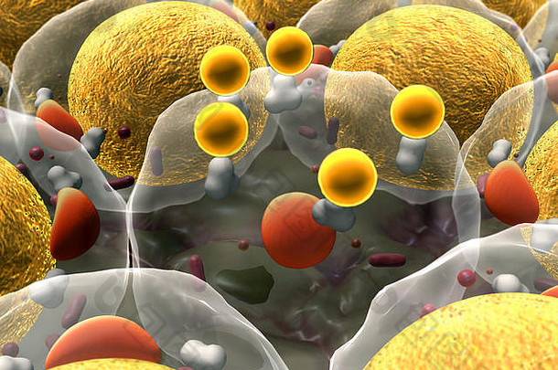 高质量渲染脂肪细胞胆固醇细胞场细胞细胞部门微观图像细胞呈现细胞医疗