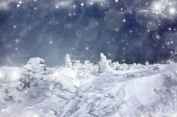 圣诞节背景雪冷杉树天空星星