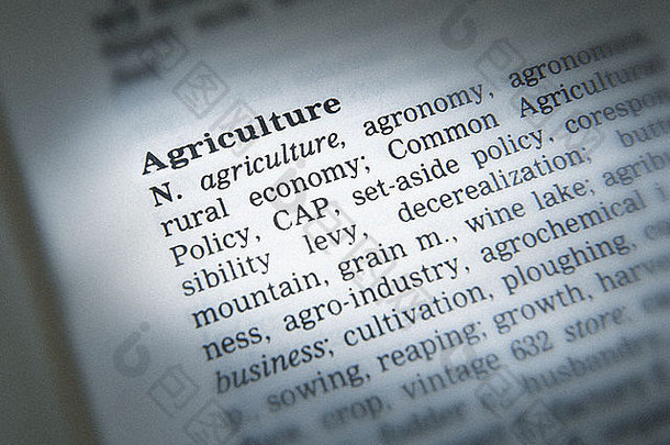 同义词典页面显示定义词农业