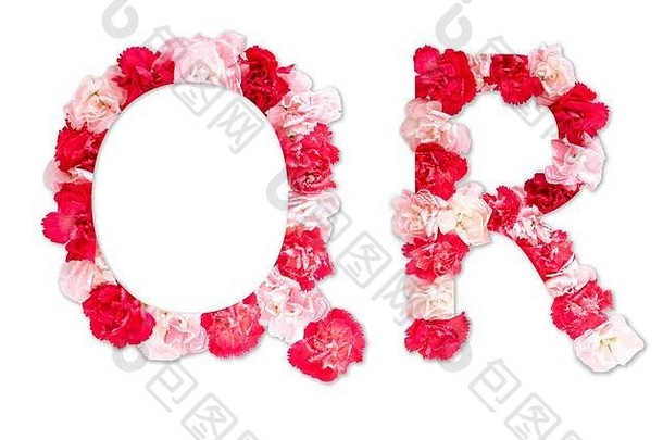 花字体。字母集集合无所不包的使真正的康乃馨花粉红色的红色的颜色纸减少形状资本信植物区系字体。