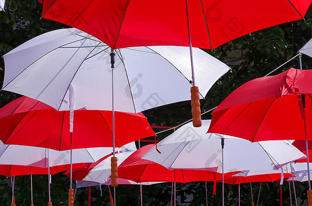 挂五彩缤纷的雨伞蓝色的天空红色的细枝大大小雨伞蓝色的天空