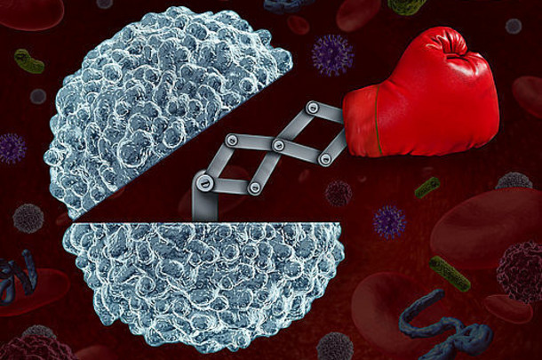 免疫系统概念开放白色血细胞拳击手套新兴健康护理比喻战斗疾病感染自然国防人类身体