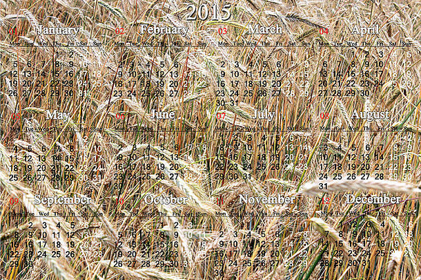 办公室日历一年场小麦背景