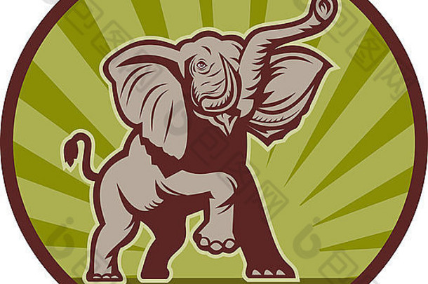 插图非洲大象充电攻击集内部圆