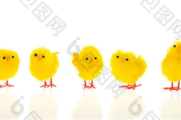 黄色的复活节装饰小鸡