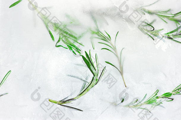 冻植物内部一块冰冰冷的草纹理冰川迷迭香模式