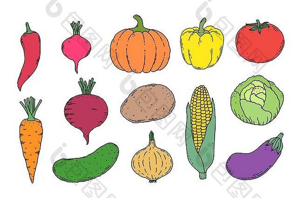 手画蔬菜图标