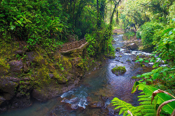 流热带热带雨林科斯塔黎加paz)瀑布花园