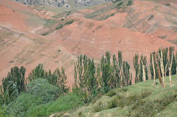 干旱风景升降机山自然储备2015: 10:00范围东南部乌兹别克斯坦