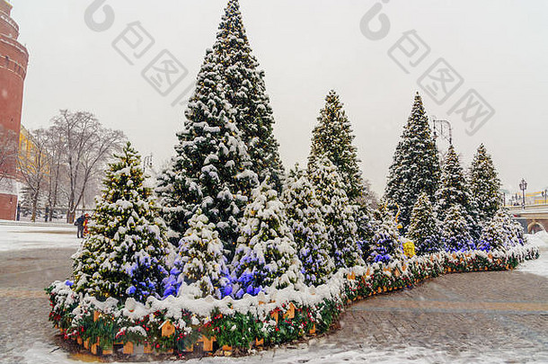 白雪覆盖的圣诞节树manezhnaya广场莫斯科俄罗斯