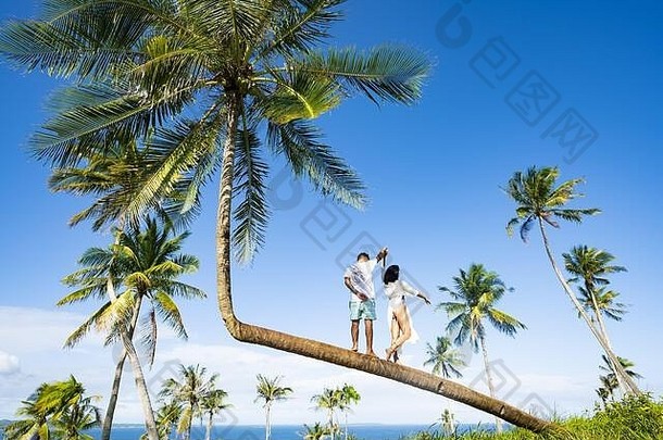 年轻的夫妇摆姿势图片你棕榈树裁判官岛