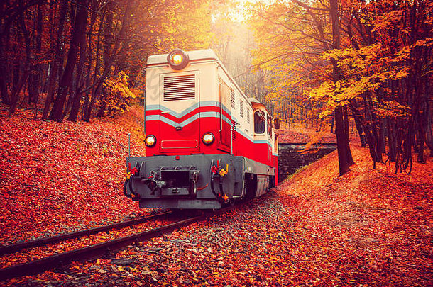 火车未来秋天森林布达佩斯美丽的颜色下降叶子背景复古的风格图像