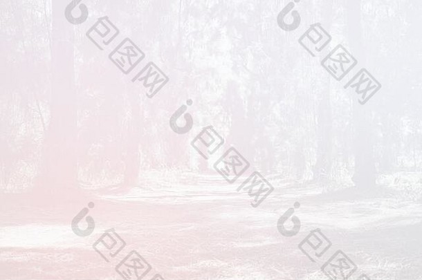松公园白色冬天雾背景