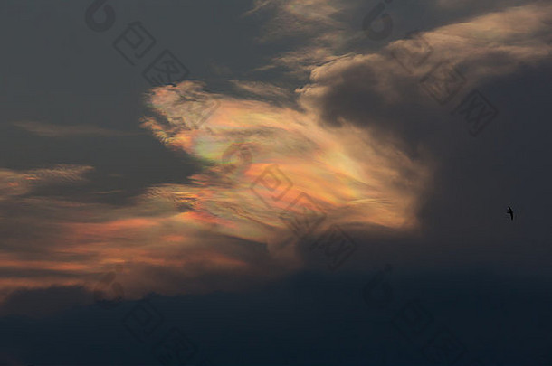 光学现象circumhorizontal弧光学现象冰晕被称为彩虹色珍珠云火太阳狗