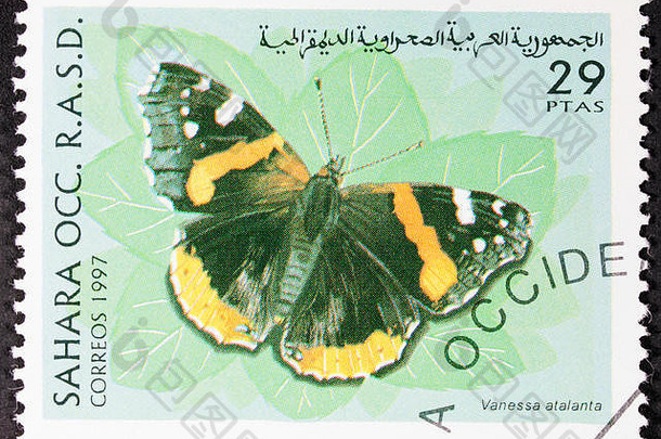 邮票阿拉伯民主共和国撒哈拉沙漠<strong>照片</strong>美丽<strong>的</strong>单<strong>蝴蝶</strong>印刷纸