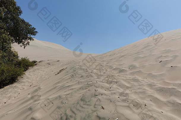 huacachina绿洲沙漠沙子沙丘城市Ica秘鲁