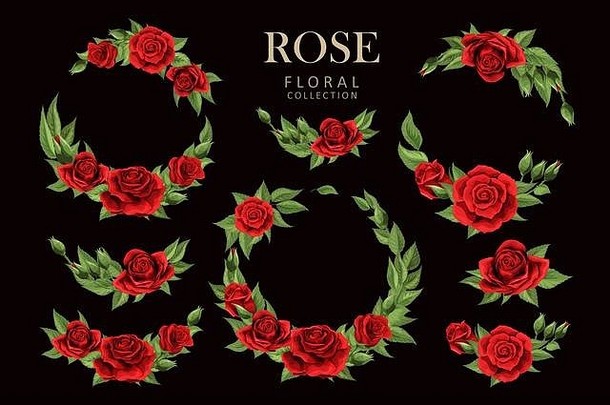 红色的玫瑰手画插图元素彩色的集孤立的黑暗