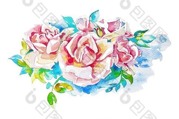 原始手绘画水彩玫瑰