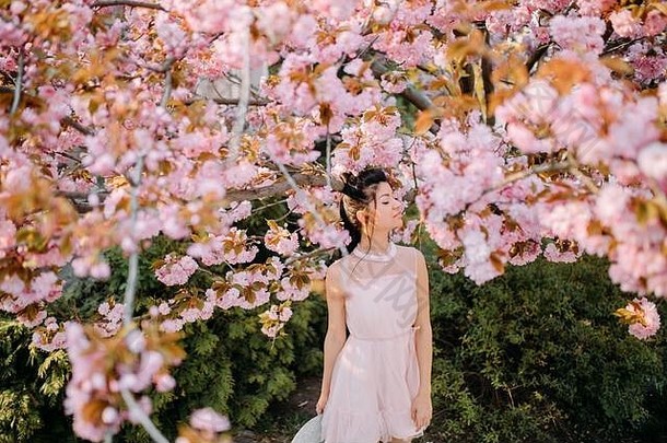 年轻的女人白色衣服享受放松公园盛开的樱花树