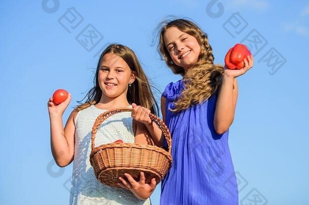 经验孩子们夏天农场有机食物小女孩蔬菜篮子自然收获维生素春天市场花园孩子们农业秋天收获健康的食物快乐生活