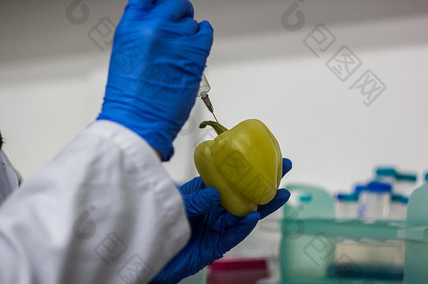 实验室科学家白色外套蓝色的手套注入蓝色的流体黄色的胡椒注射器
