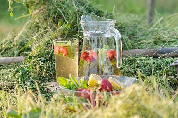 夏天让人耳目一新自然自制的饮料壶玻璃Herbal茶草莓薄荷柠檬草自然花园背景健康的