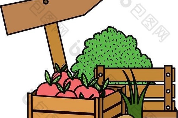 颜色苹果水果内部木盒子焙烧
