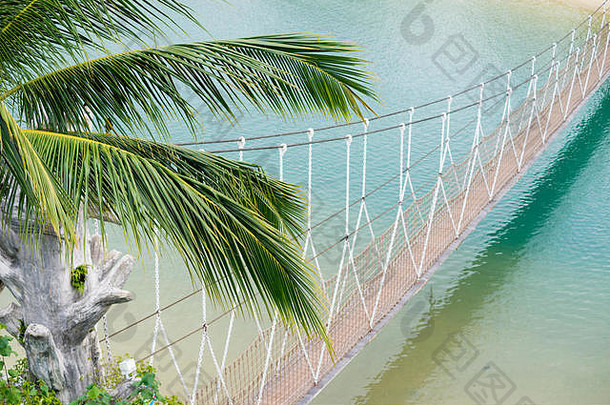 热带绳子桥清洁海水域焦点棕榈树叶