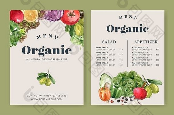 蔬菜水彩油漆集合新鲜的食物有机菜单健康的设计插图