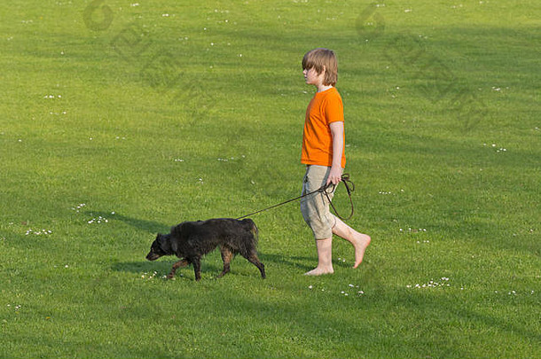男孩走狗草坪上