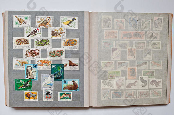 集合邮资邮票专辑印刷苏联