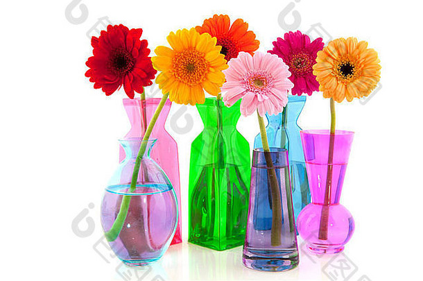 色彩斑斓的美国格柏公司花玻璃花瓶孤立的白色背景