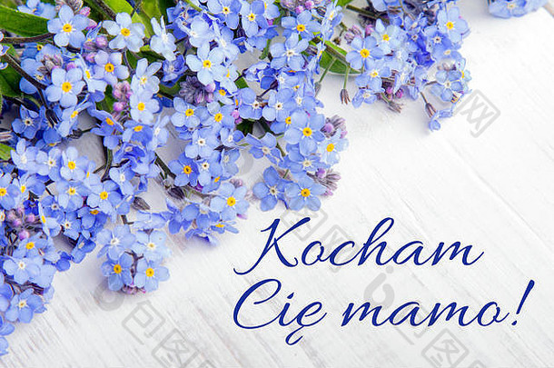 母亲的一天卡波兰的单词爱妈妈蓝色的花框架白色木背景