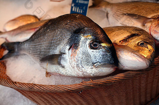 新鲜的鱼出售摊位周日市场大道理查德。勒努瓦巴士底狱巴黎