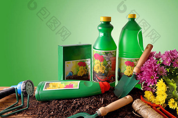 瓶容器园艺产品增长植物花植物装饰绿色梯度背景前面视图