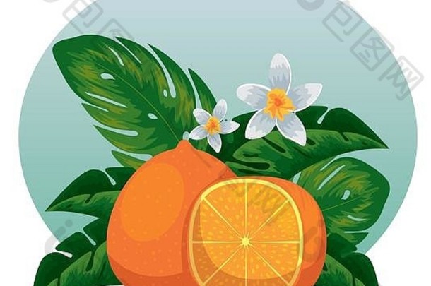 异国情调的橙色水果异国情调的叶子