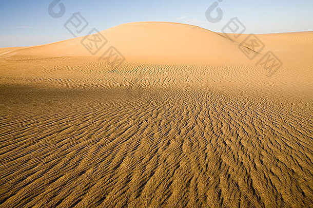 沙子沙丘伟大的沙子海西方沙漠埃及
