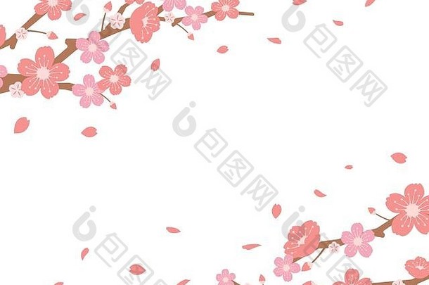 樱桃花朵背景插图春天季节主题