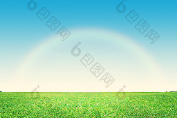 绿色草场深蓝色的天空彩虹背景
