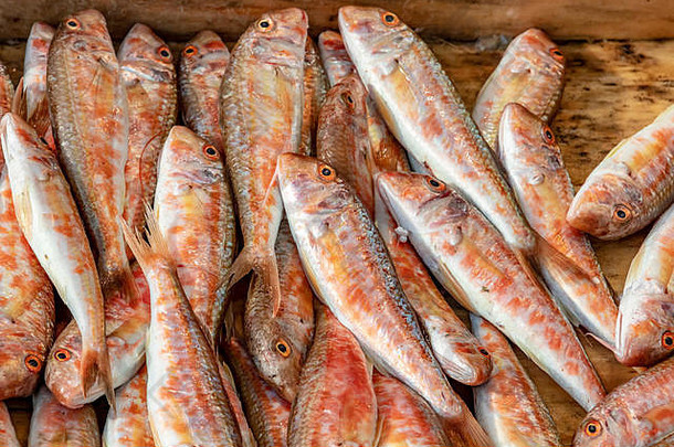 新鲜的鱼出售鱼市场