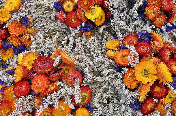 完整的框架背景花束色彩斑斓的干花
