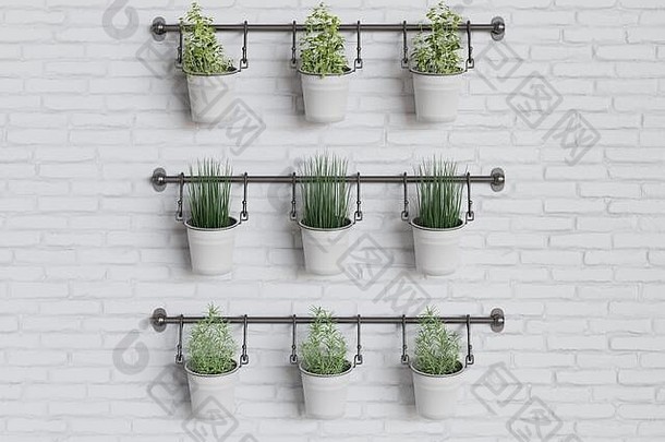 厨房草本植物首页园艺植物白色墙砖健康的生活极简主义概念呈现概念