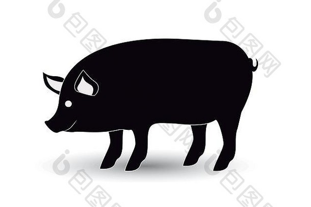孤立的猪动物设计