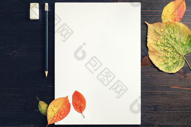 空白白色表纸铅笔橡皮擦秋天叶子木表格背景平躺