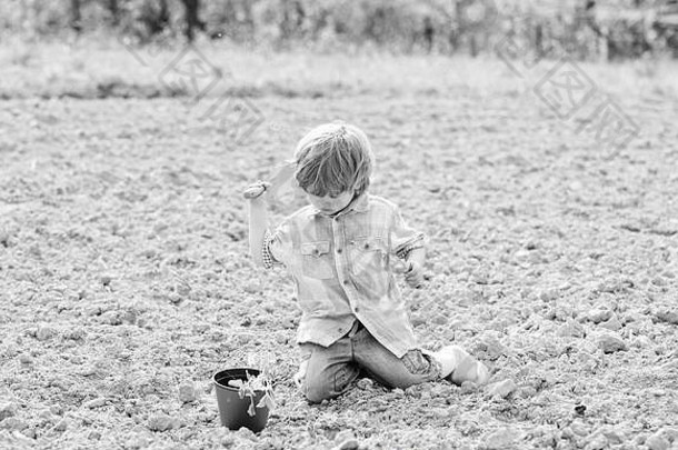 园艺概念<strong>孩子</strong>有趣的铲植物能种植场种植幼苗助手花园男孩坐地面种植花场有趣的时间农场