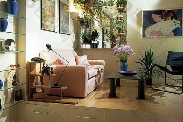 粉红色的沙发现代生活房间存储抽屉错层式的花室内植物货架上镜像凹室